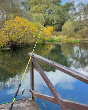 theme-summer-fishing