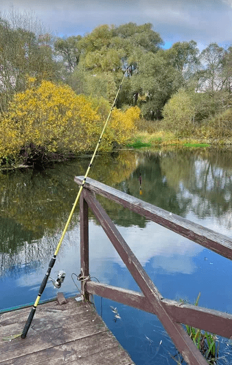 theme-summer-fishing