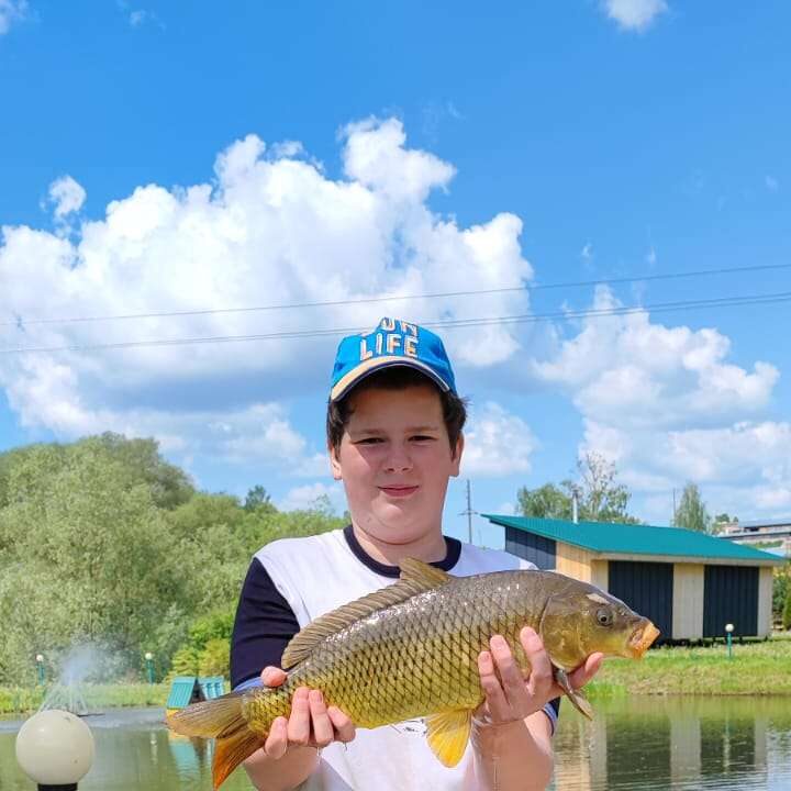 Рыбалка в пруду