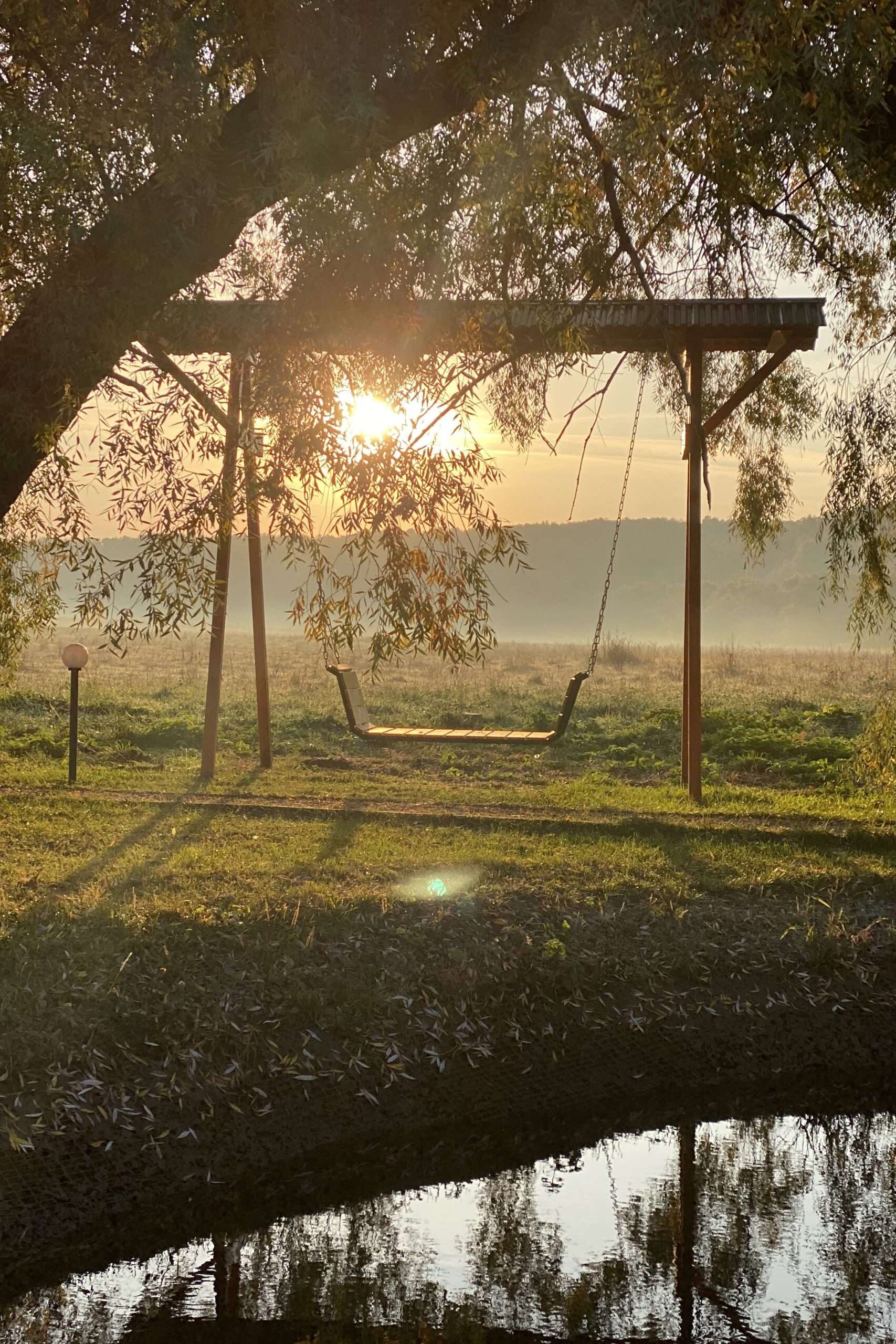 Прогулки по ферме