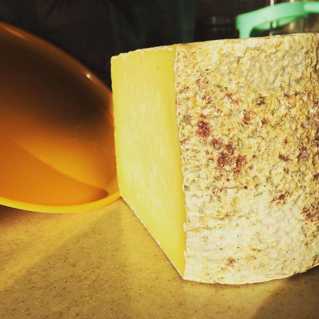 WhatsApp Image 2024-11-11 at 11.11.04 (1)